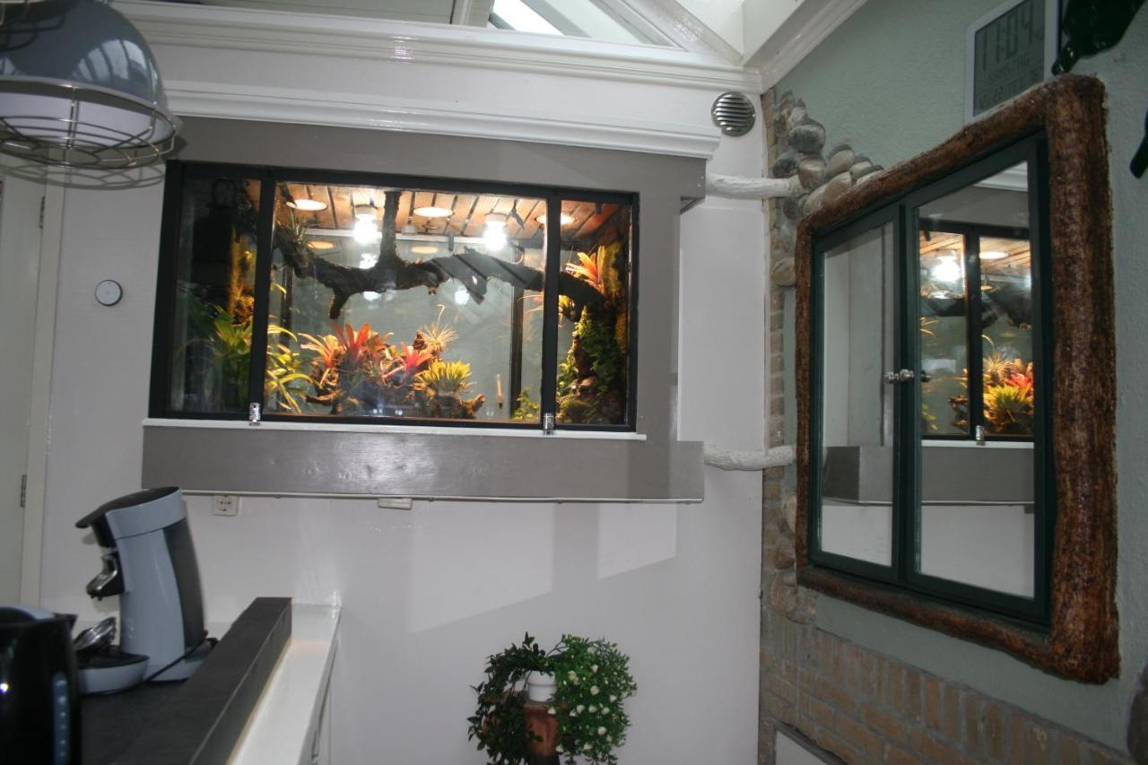 The Butterfly Luxe Appartement Met Private Parking 잔드보르트 외부 사진